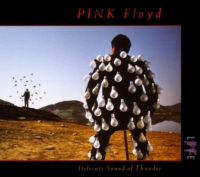 Pink Floyd - 1988